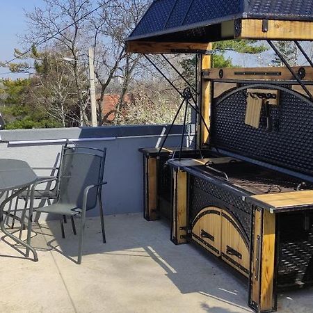 Lux Vila Aleksandar Sremska Kamenica Ngoại thất bức ảnh
