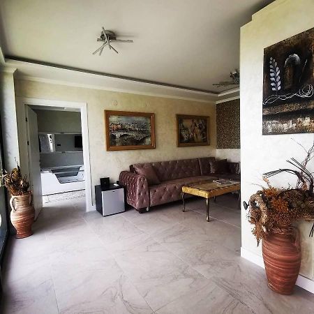 Lux Vila Aleksandar Sremska Kamenica Ngoại thất bức ảnh