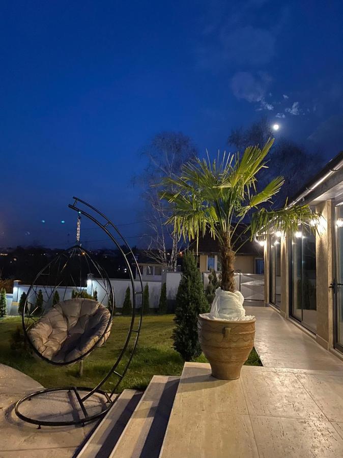 Lux Vila Aleksandar Sremska Kamenica Ngoại thất bức ảnh