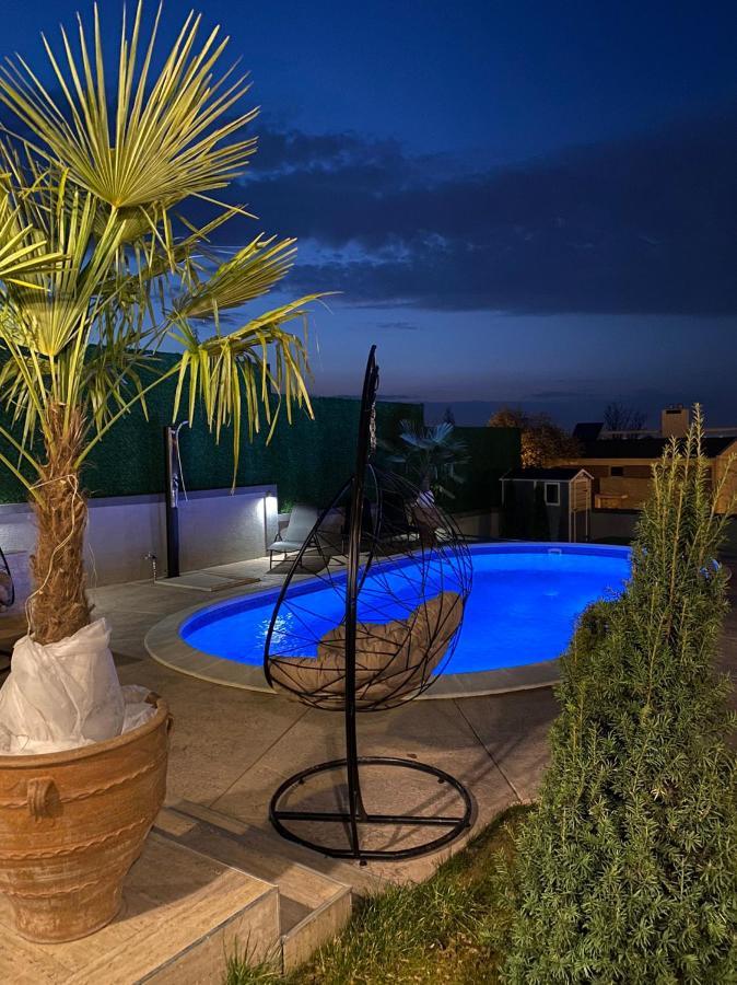 Lux Vila Aleksandar Sremska Kamenica Ngoại thất bức ảnh