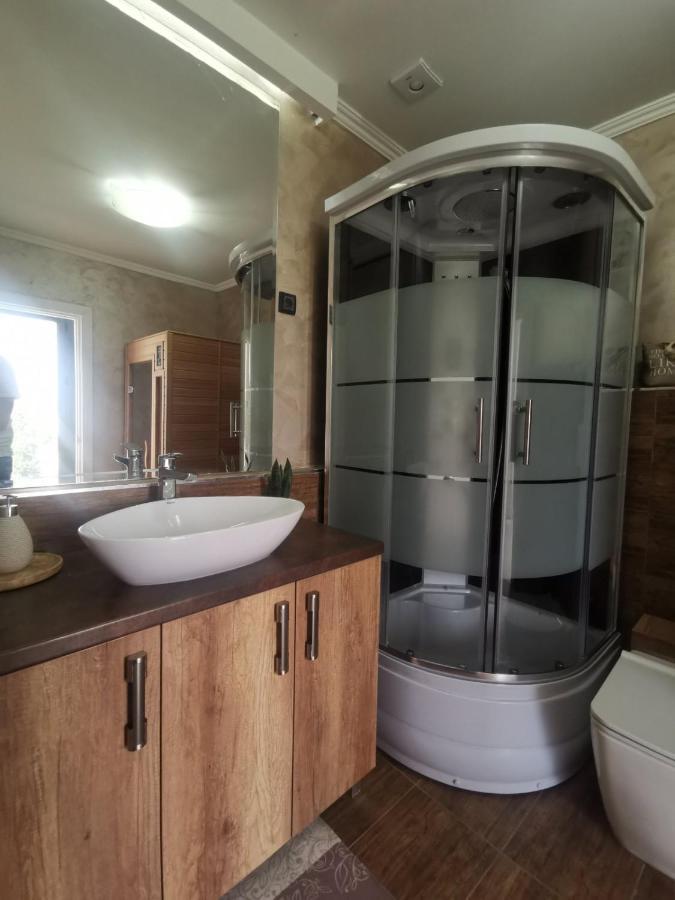 Lux Vila Aleksandar Sremska Kamenica Ngoại thất bức ảnh