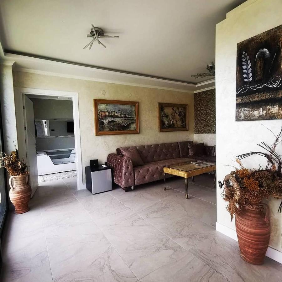 Lux Vila Aleksandar Sremska Kamenica Ngoại thất bức ảnh